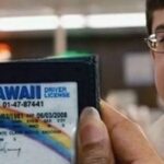 Underage Drinking and Fake ID Charges in Ocean City, MD: A Guide for Parents